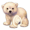 2wqfp92.gif