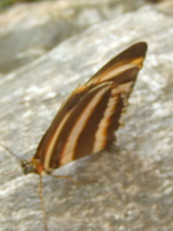 2yv026h.jpg