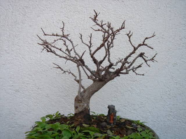 2yycm0j.jpg