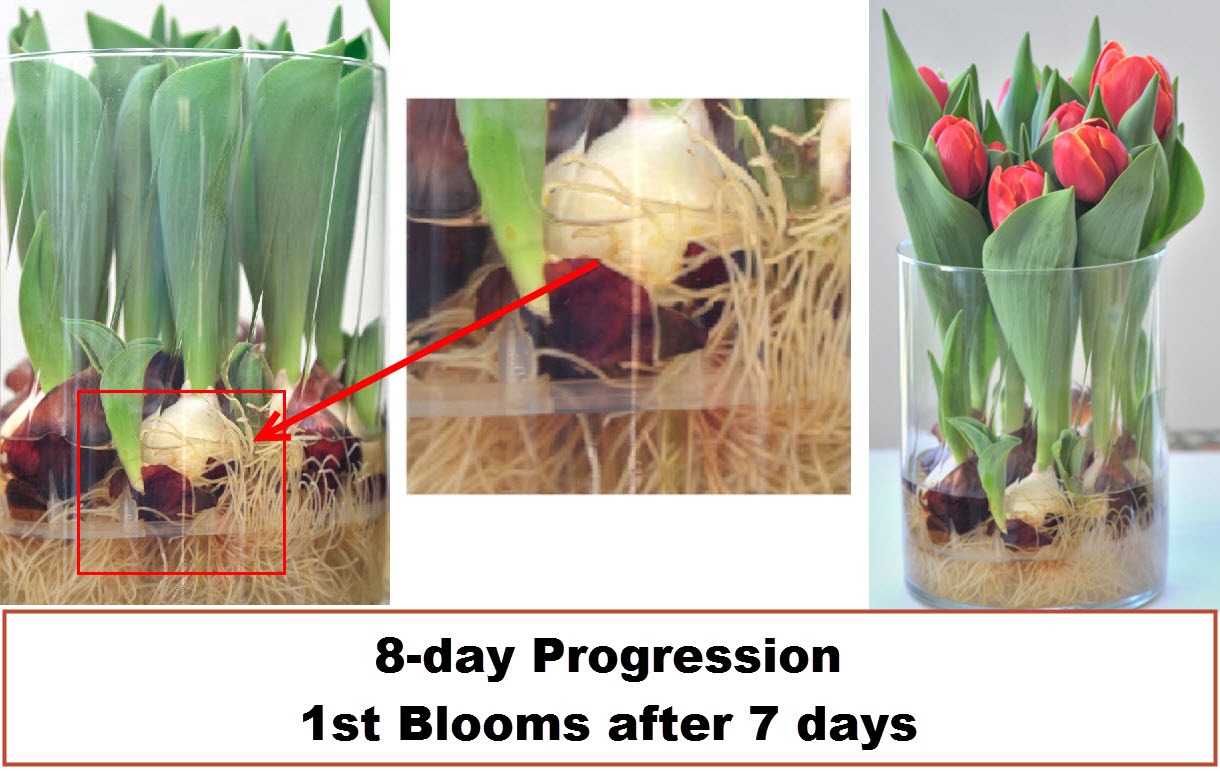 3-9-2013-10-44-20-am.jpg
