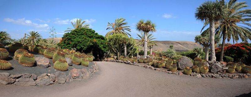 3-Jardin-cactus-fuerteventura-p.jpg