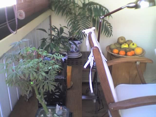 30-03-06_1313.jpg