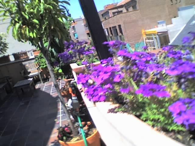 30-07-06_1319.jpg