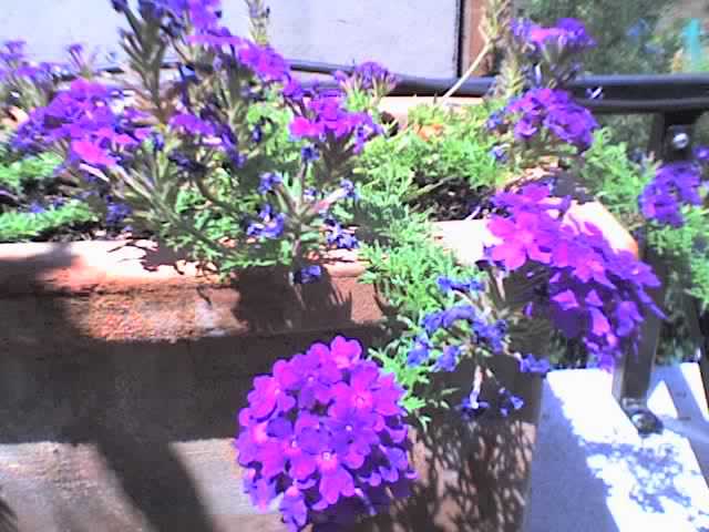 30-07-06_1321.jpg