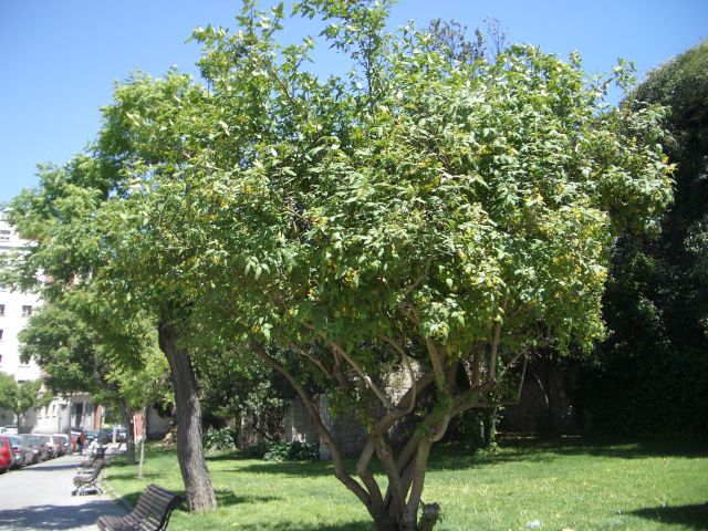 30-4-2005%20029.JPG