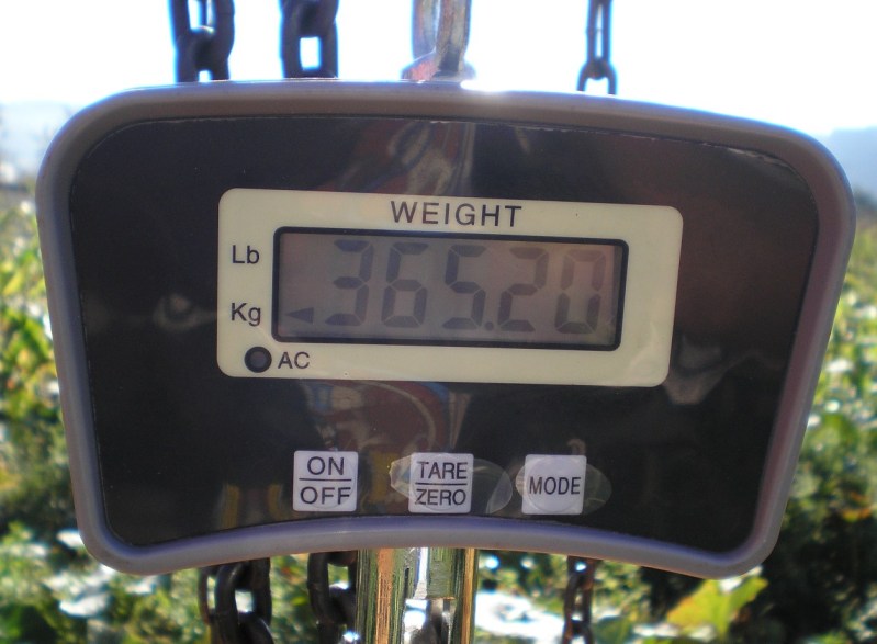 30045dx.jpg