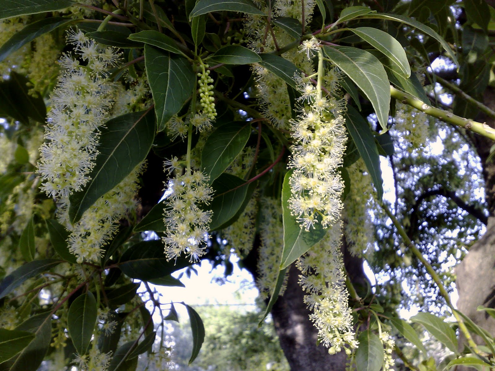 300520102975.jpg