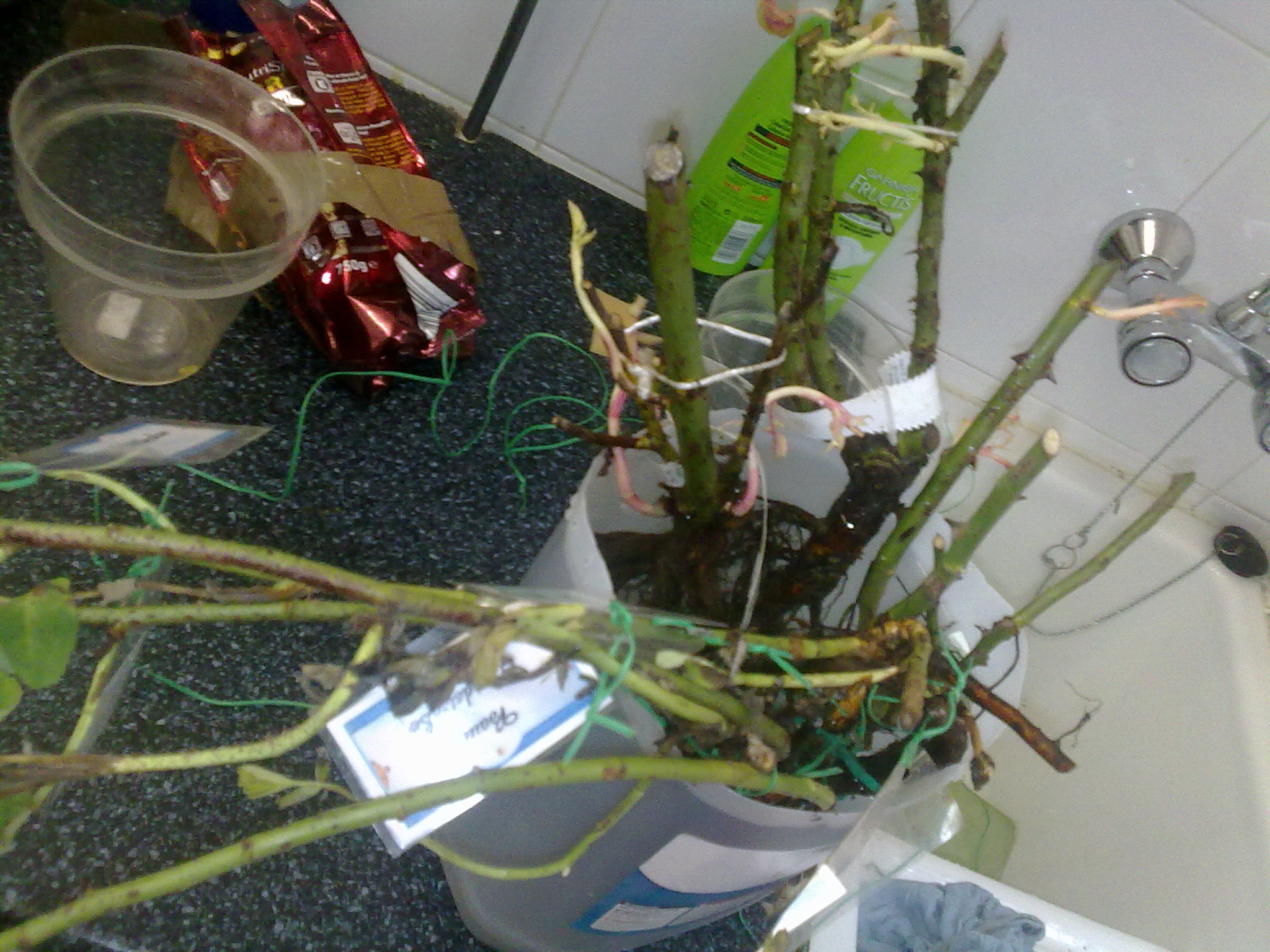 300520123833.jpg