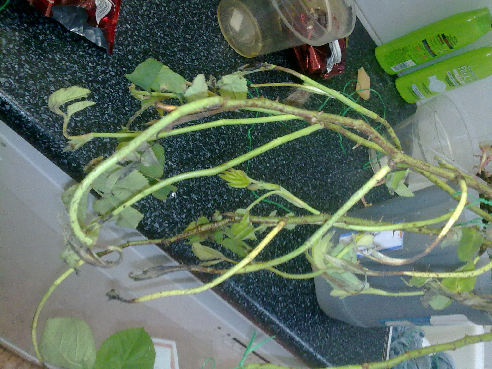 300520123835.jpg