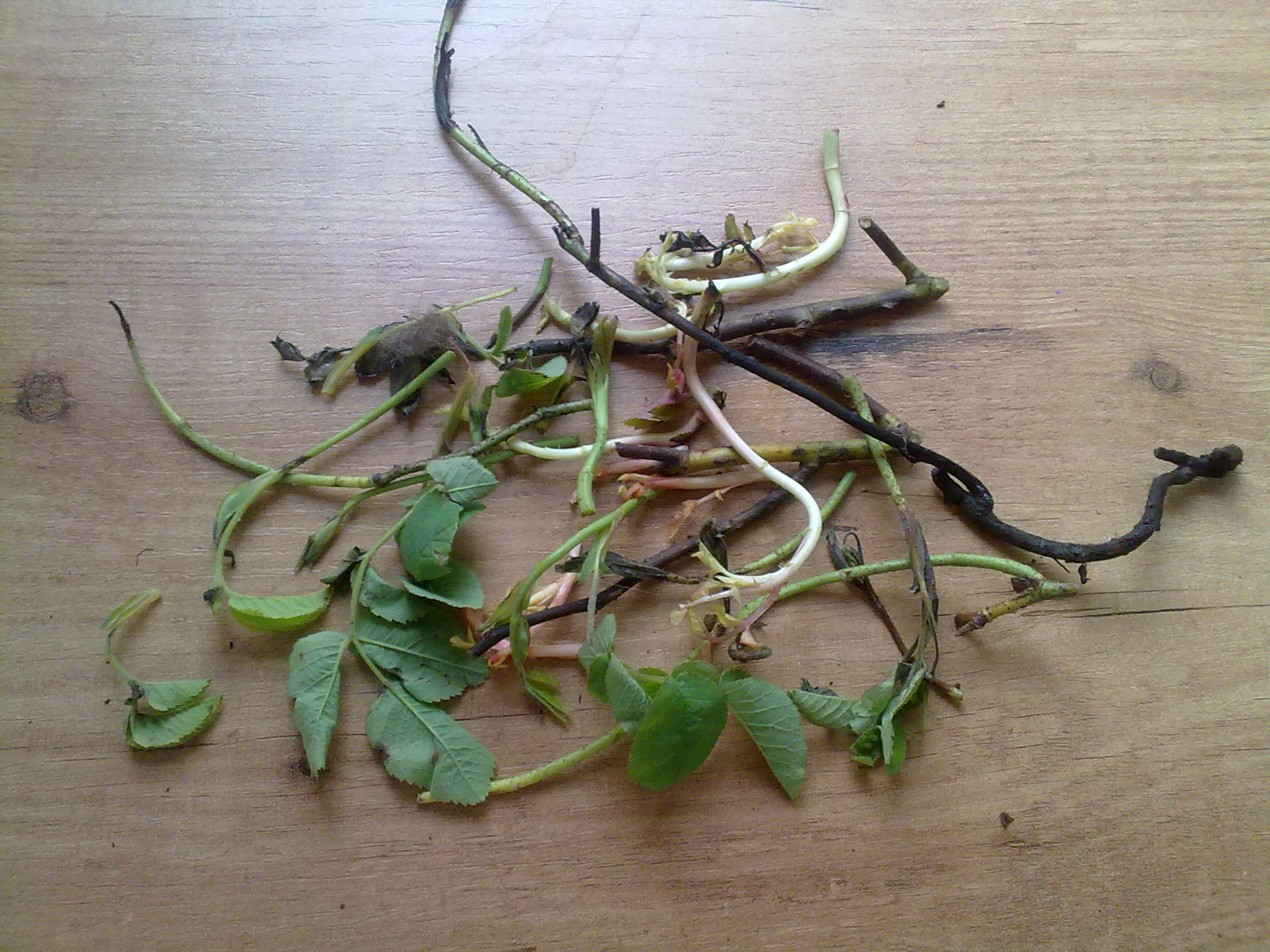 300520123836.jpg