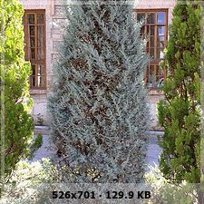 3005b781354abe171ff2e8dd05ca0c0bo.jpg