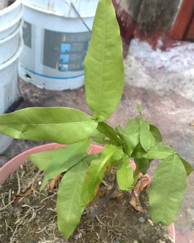 300620122056.jpg