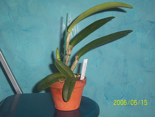 3006250898_2a0dafbf7e.jpg
