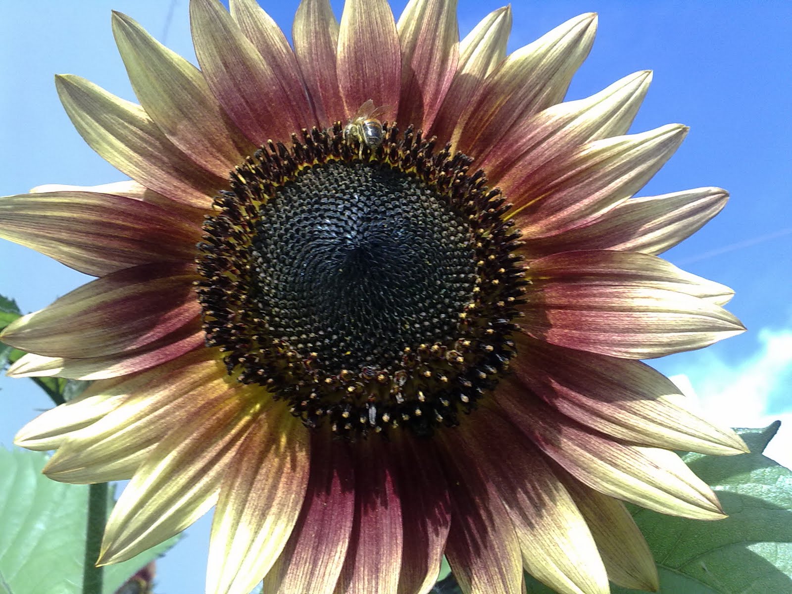 300720102030.jpg