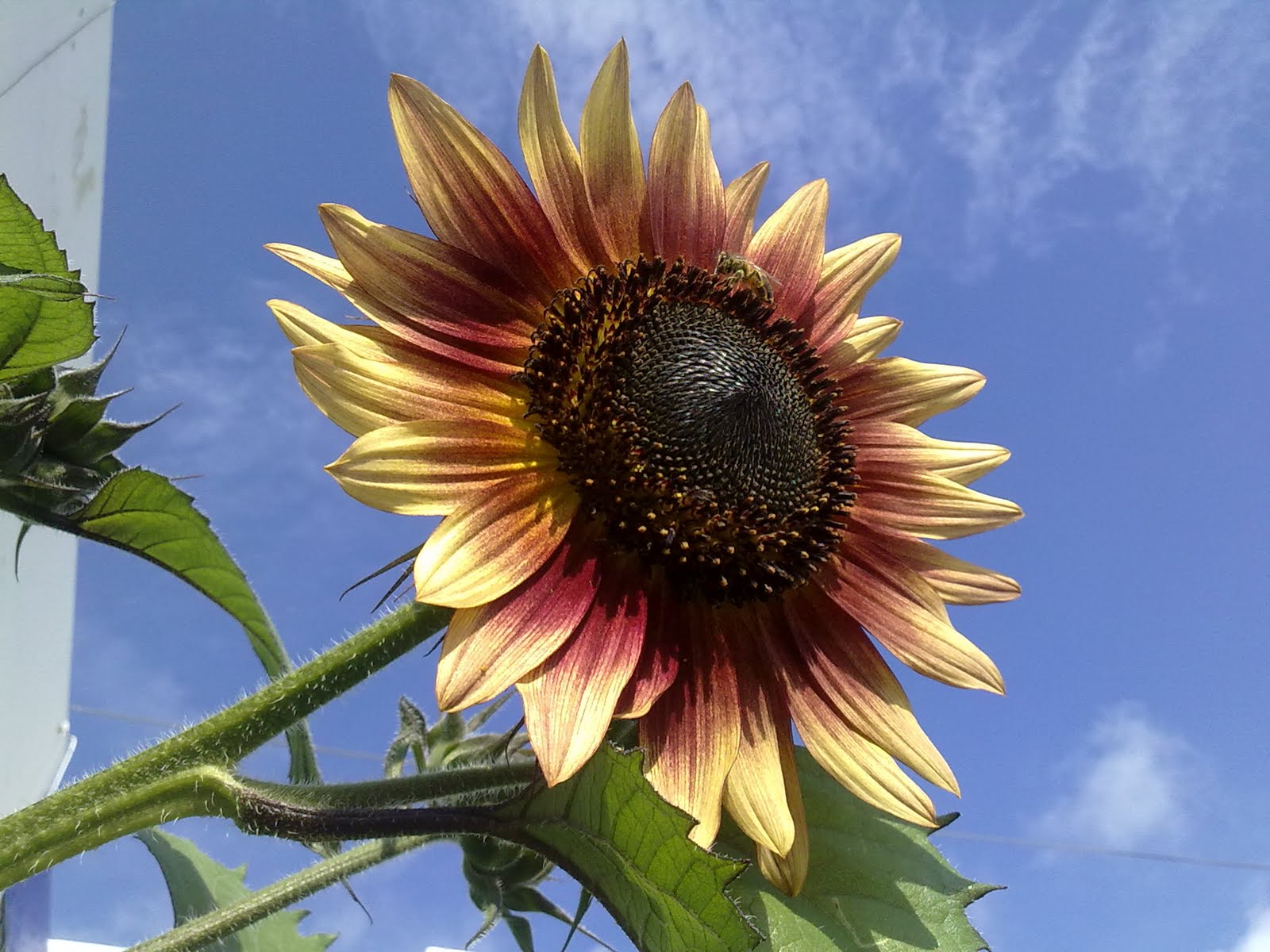 300720102031.jpg