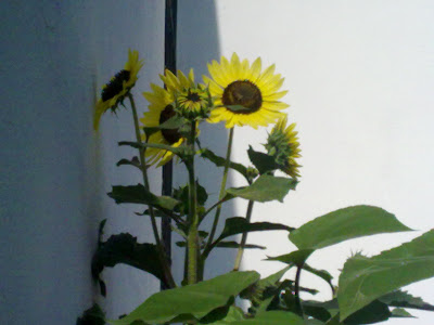 300720102035.jpg