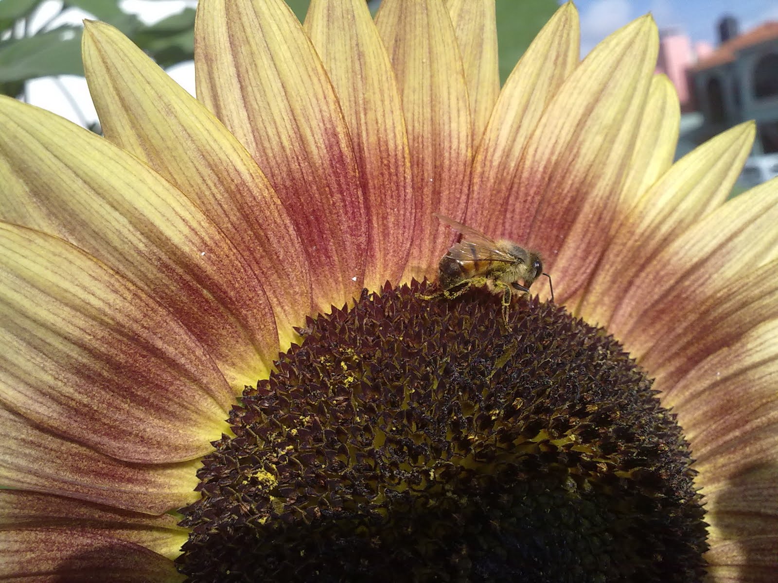 300720102036.jpg
