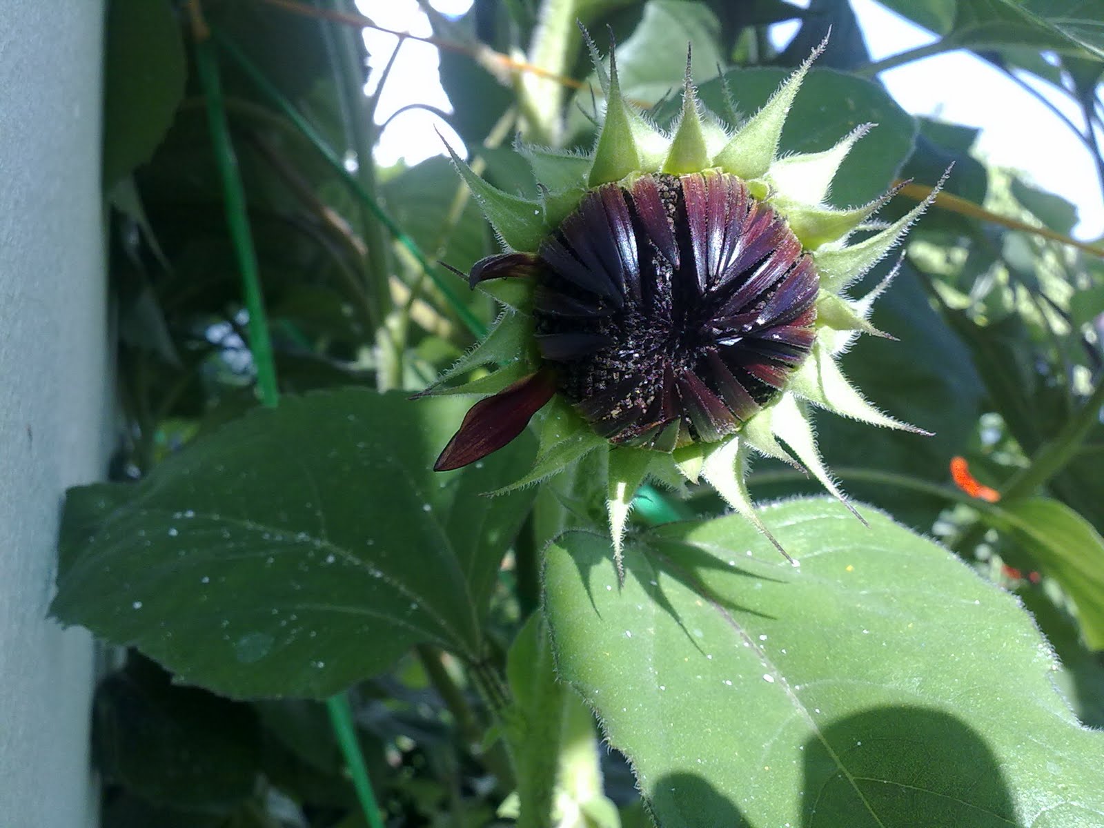 300720102038.jpg