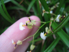 300848307_24c2e97902_m.jpg