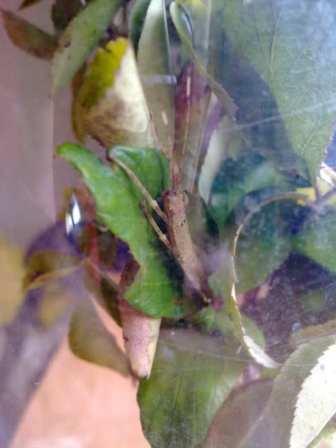 30092010655.jpg