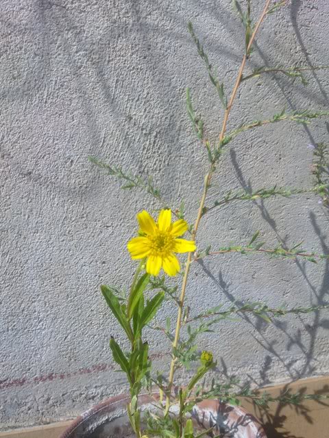 300920111585.jpg