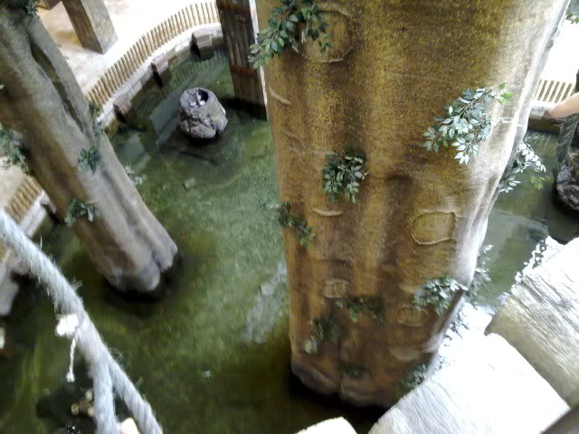30102010724.jpg