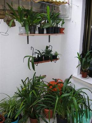 3010_001_Small_.jpg