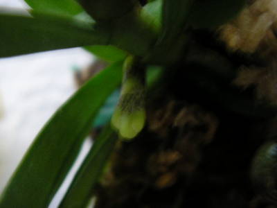 3010_007.jpg