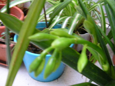3010_008.jpg
