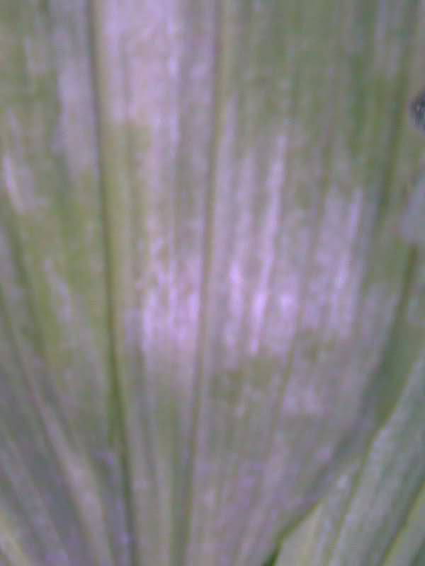 302b684.jpg