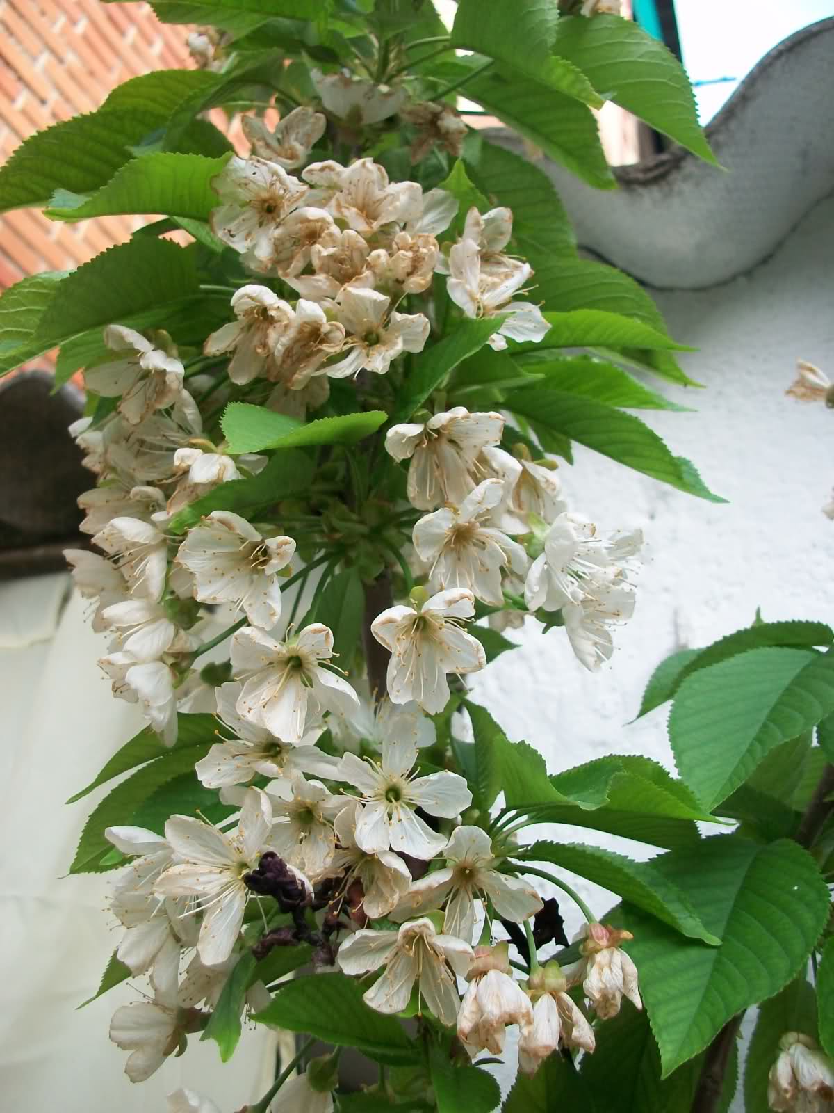 302c8kx.jpg
