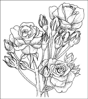 306000.image0.jpg