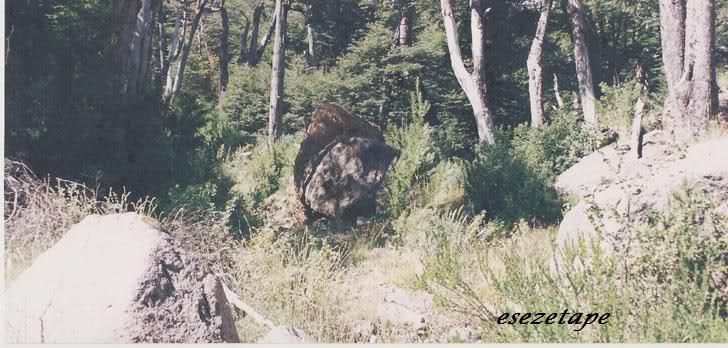 307vokn.jpg