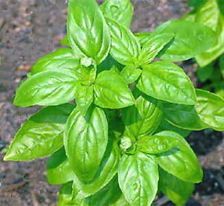 3094_12.JPG