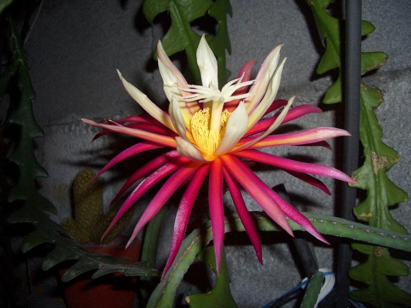 30Abr07003.jpg