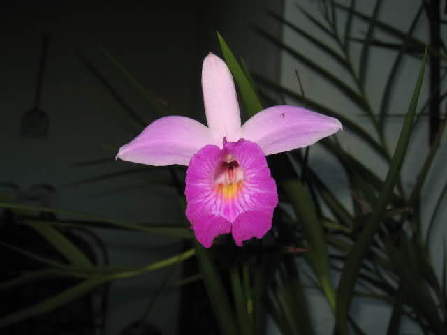 30t1c09.jpg