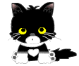 30vk5ls.gif