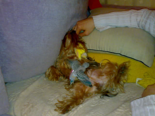 31032009149.jpg