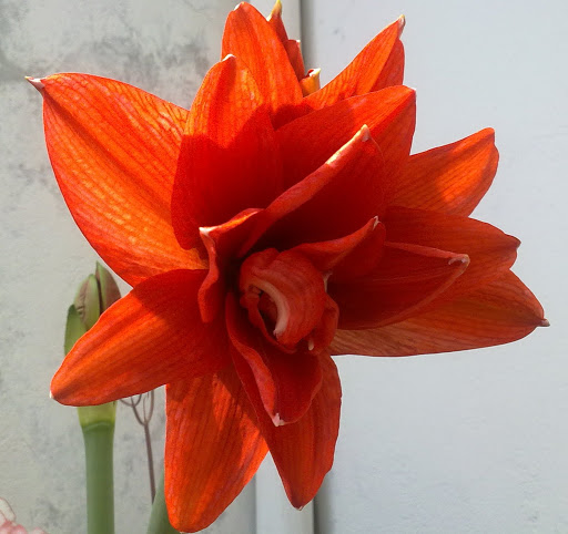 310320121120.jpg