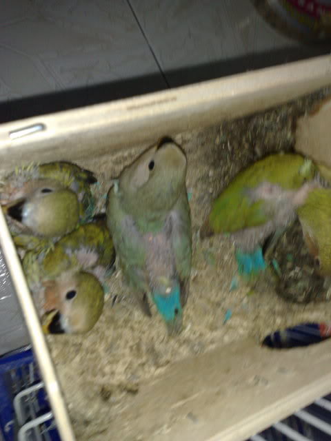 31052009162.jpg