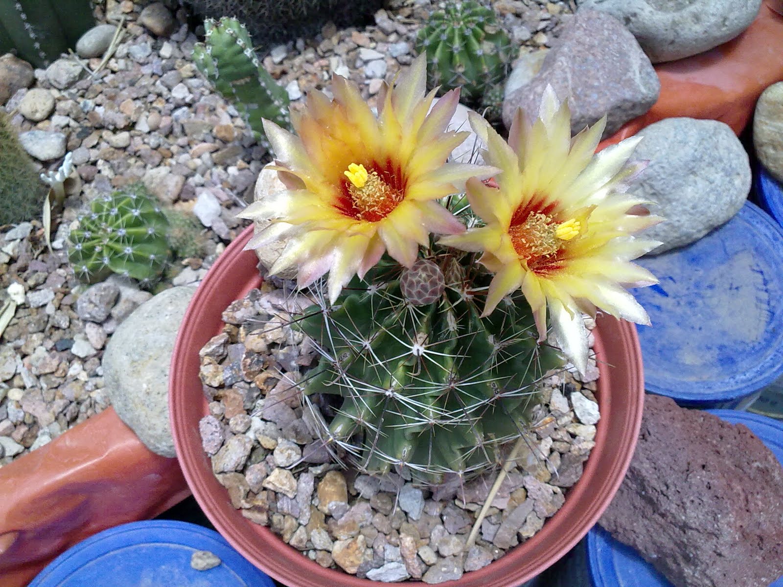 310720102098.jpg