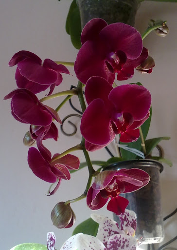 311020123597.jpg