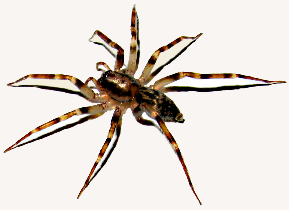 3118369757_cbed8a69cc_o.jpg