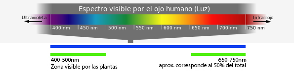 31234051316_c221009eeb_o.jpg