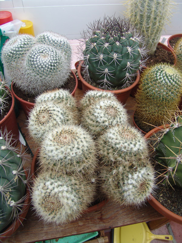 3144265843_d9eeb69883_o.jpg