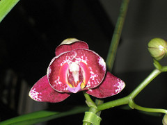 318830785_4c0fe949db_m.jpg
