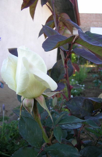 31_octubre_021.jpg