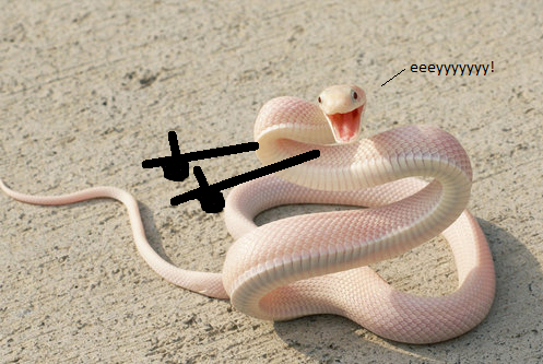 31RF4Za.png