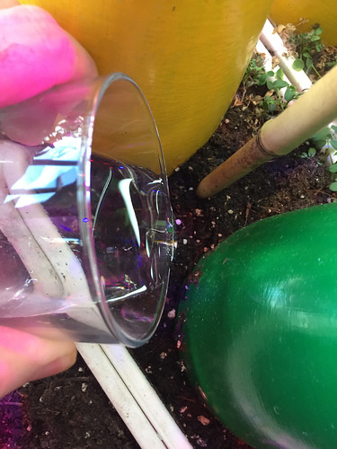 32433270280_c88ddd162e.jpg