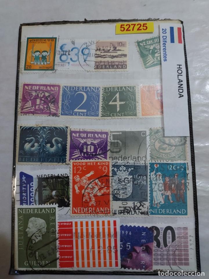 325708033.jpg